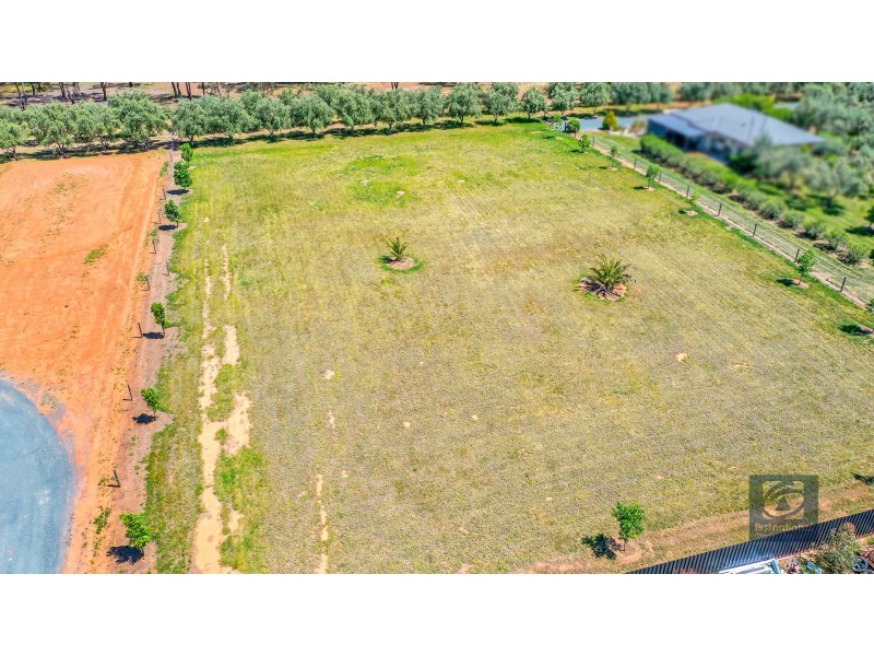 34 Manzanillo Avenue, Moama NSW 2731