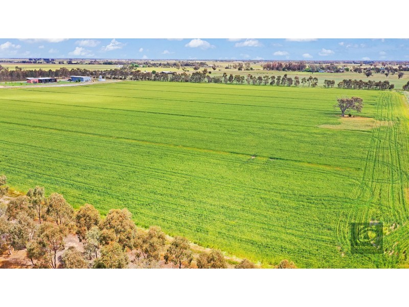 8690 Murray Valley Highway, Echuca VIC 3564