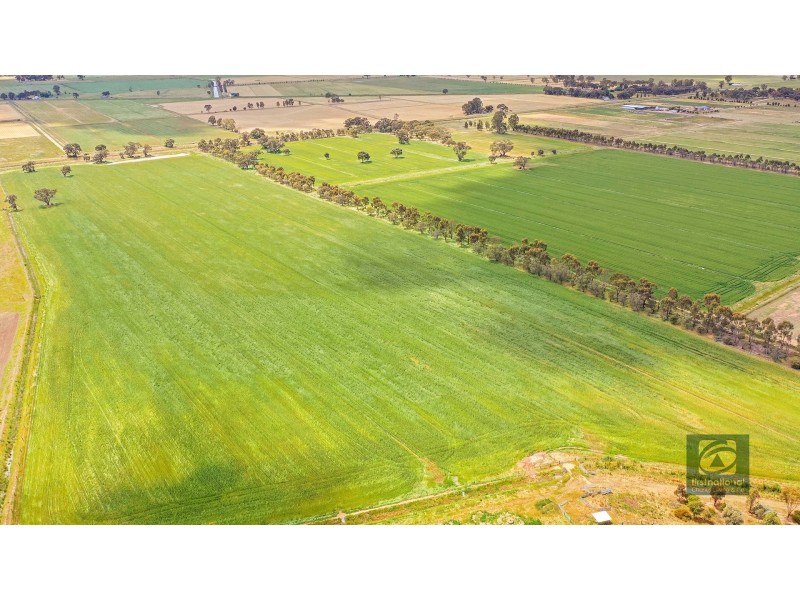 8690 Murray Valley Highway, Echuca VIC 3564