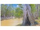 Lot 1 Bangerang Road, Kanyapella VIC 3564