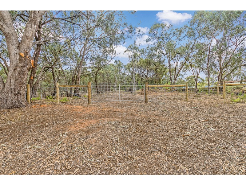 16 Pakenham Street, Echuca VIC 3564