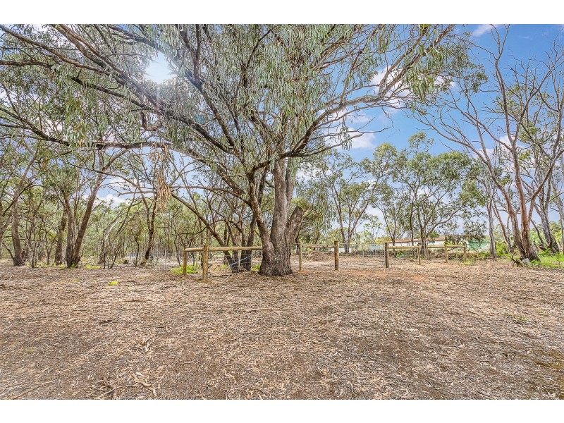16 Pakenham Street, Echuca VIC 3564