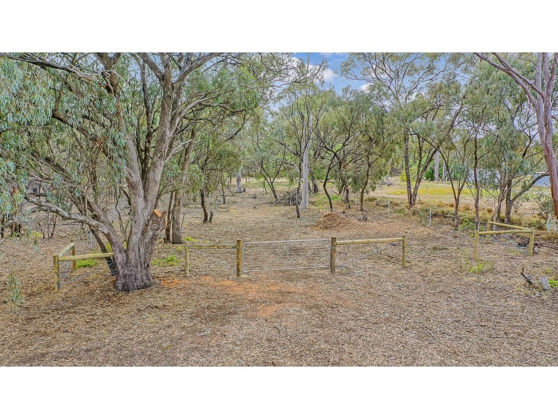 16 Pakenham Street, Echuca VIC 3564
