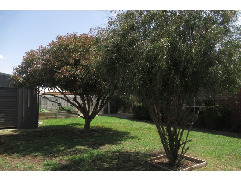 15 Kildare Avenue, Moama NSW 2731