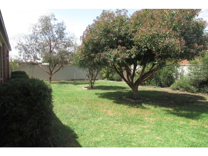 15 Kildare Avenue, Moama NSW 2731