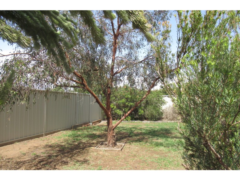 15 Kildare Avenue, Moama NSW 2731