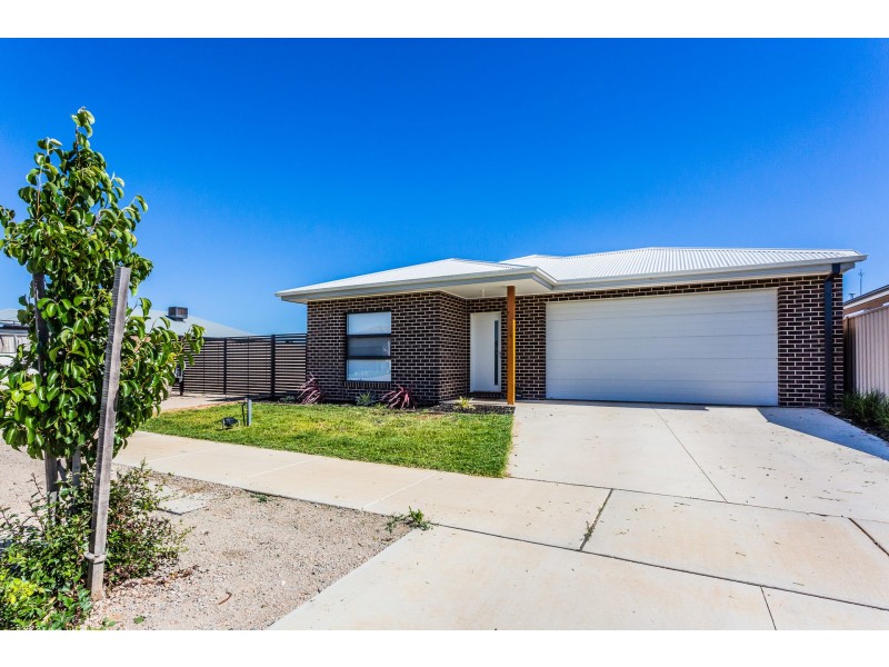 16 Selwyn Street, Echuca VIC 3564