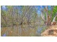 50 Moama Street, Mathoura NSW 2710