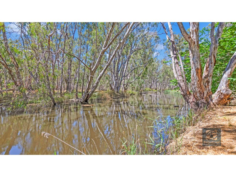 50 Moama Street, Mathoura NSW 2710