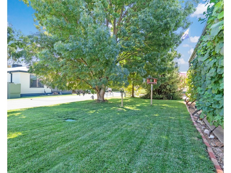 17 Swan Boulevard, Moama NSW 2731