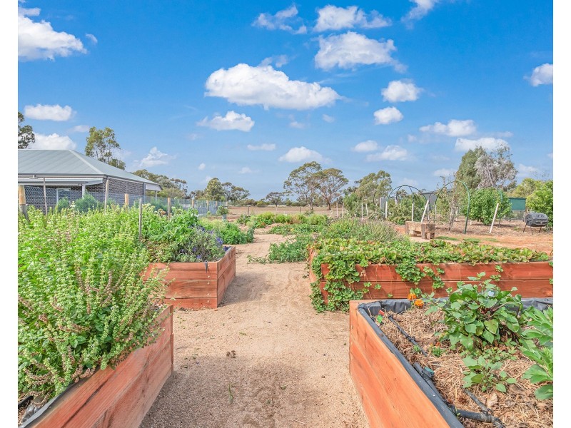 37 Pinerate Place, Echuca VIC 3564