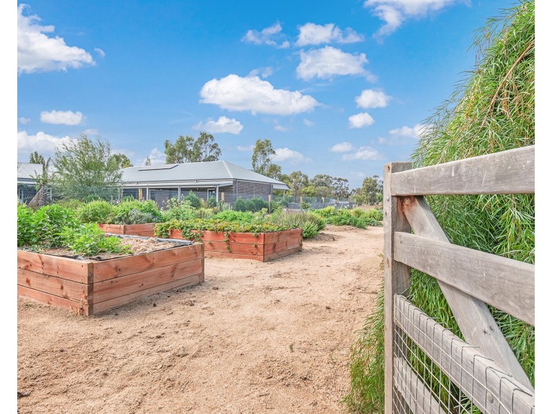 37 Pinerate Place, Echuca VIC 3564