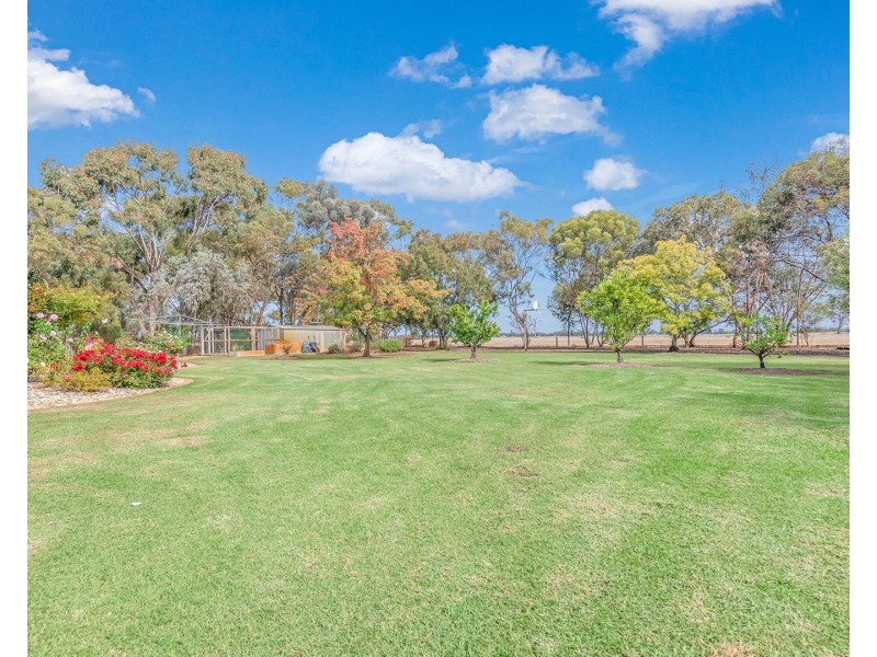 195 Wharparilla Drive, Echuca VIC 3564