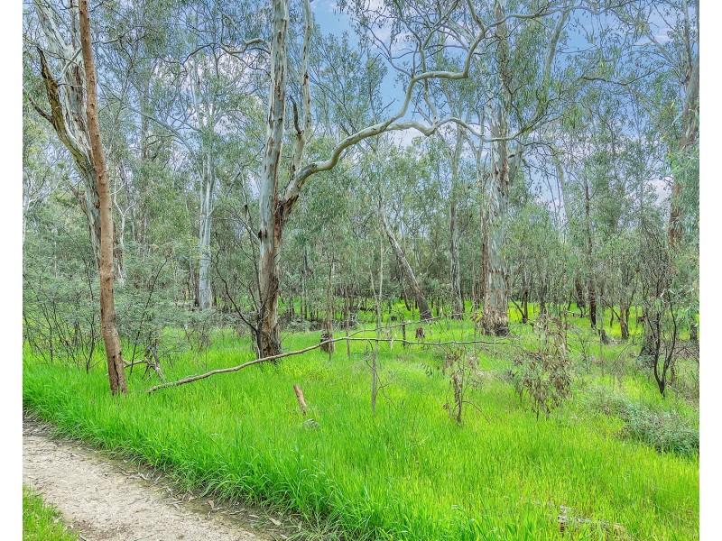 Lot 159 Bangerang Road, Echuca VIC 3564