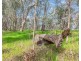 Lot 159 Bangerang Road, Echuca VIC 3564