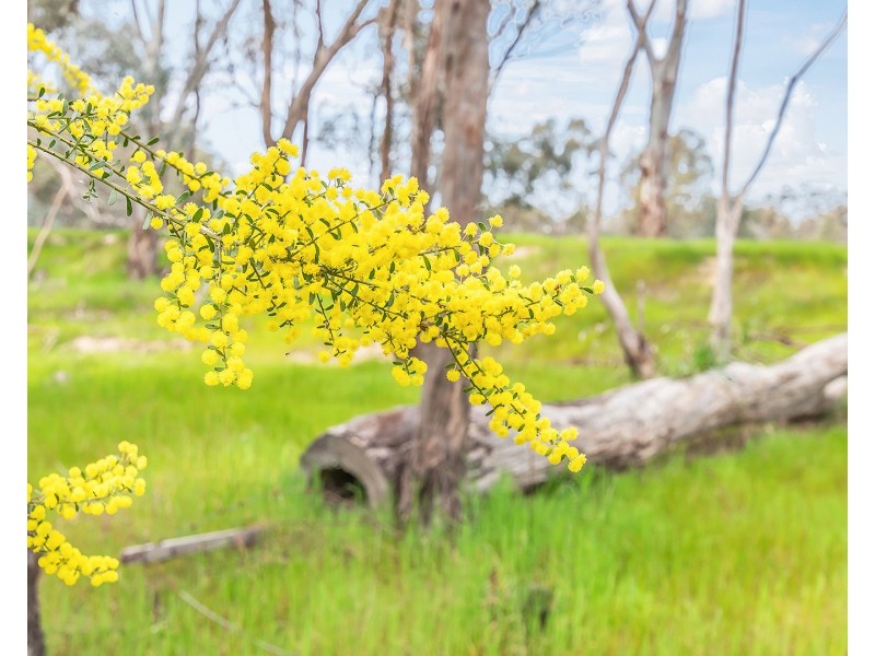 Lot 159 Bangerang Road, Echuca VIC 3564