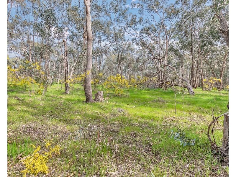 Lot 159 Bangerang Road, Echuca VIC 3564