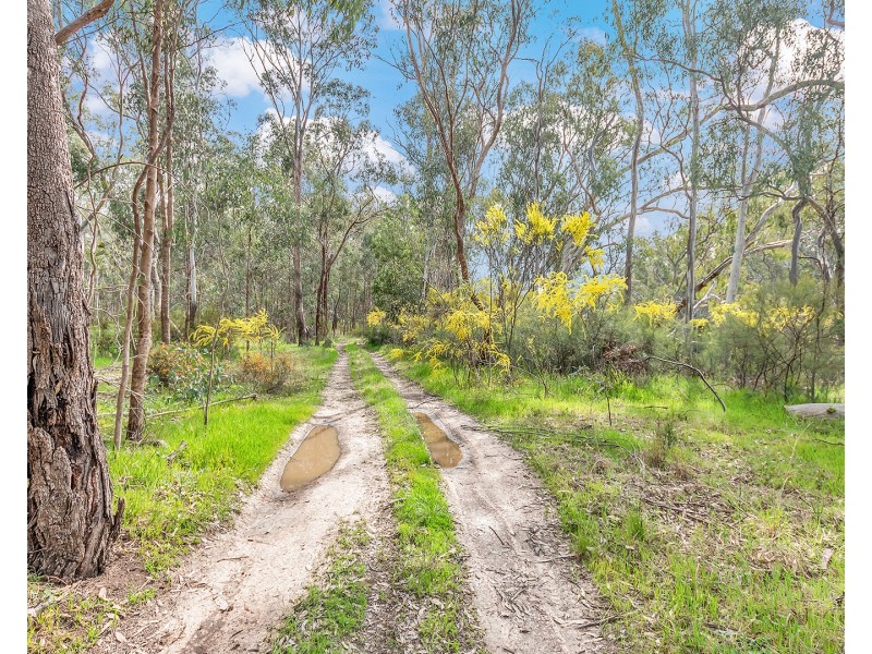 Lot 159 Bangerang Road, Echuca VIC 3564