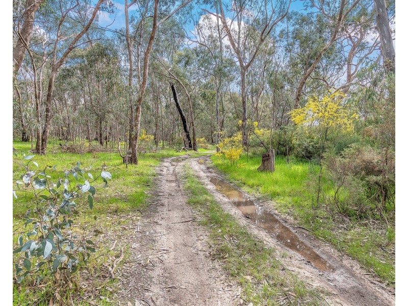 Lot 159 Bangerang Road, Echuca VIC 3564