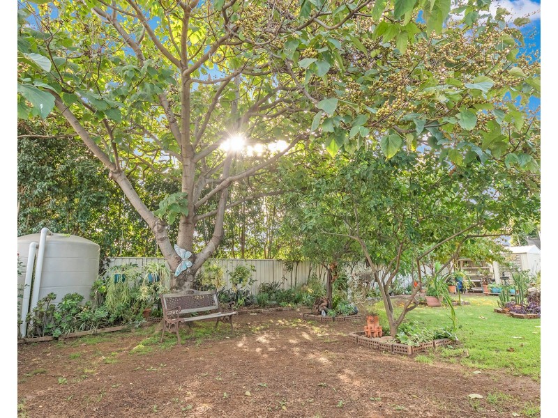 68 Shetland Drive, Moama NSW 2731
