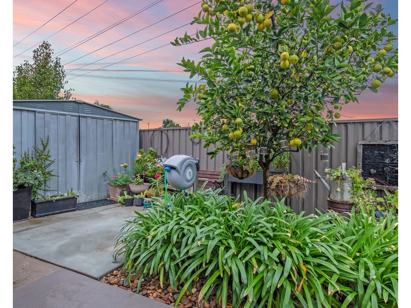 62 Elizabeth Street, Echuca VIC 3564