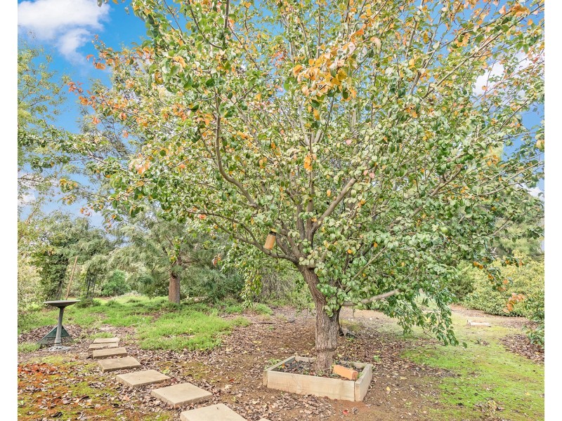 7 Cash Court, Echuca VIC 3564