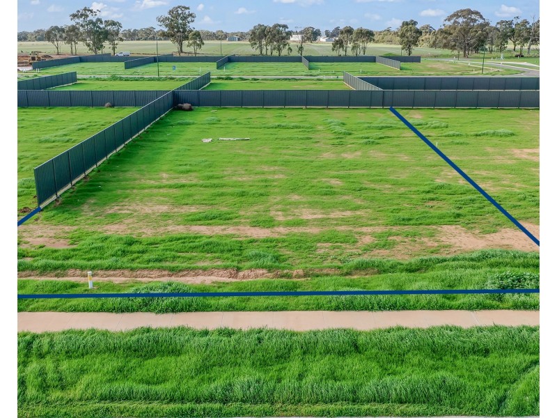 25 The Vines, Serenade Avenue, Moama NSW 2731