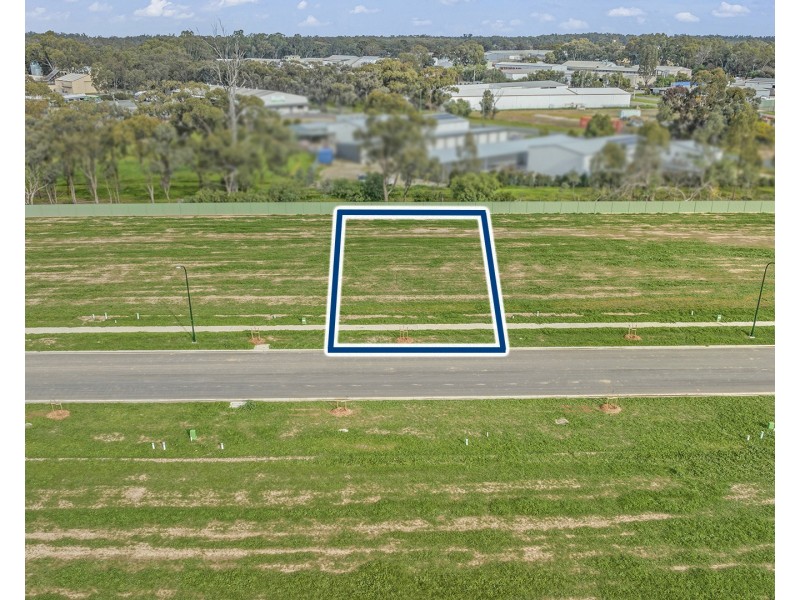 20 Emmylou Place, Moama NSW 2731