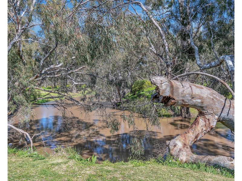 34 Rutley Crescent, Echuca VIC 3564