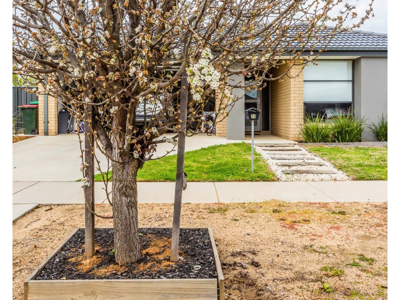 24 Cleary Street, Echuca VIC 3564
