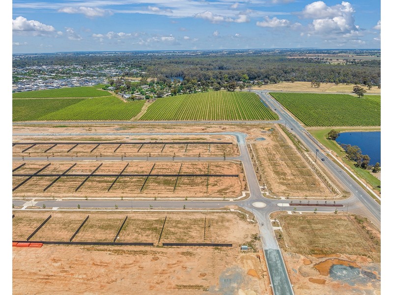 103 Whistler Circuit, Moama NSW 2731