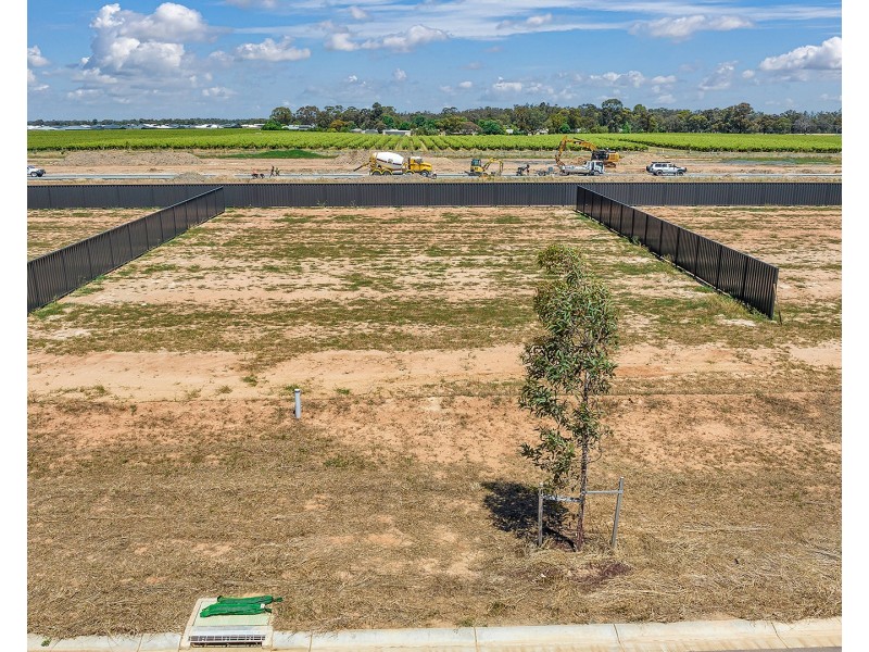 43 The Range, Currawong Circuit, Moama NSW 2731