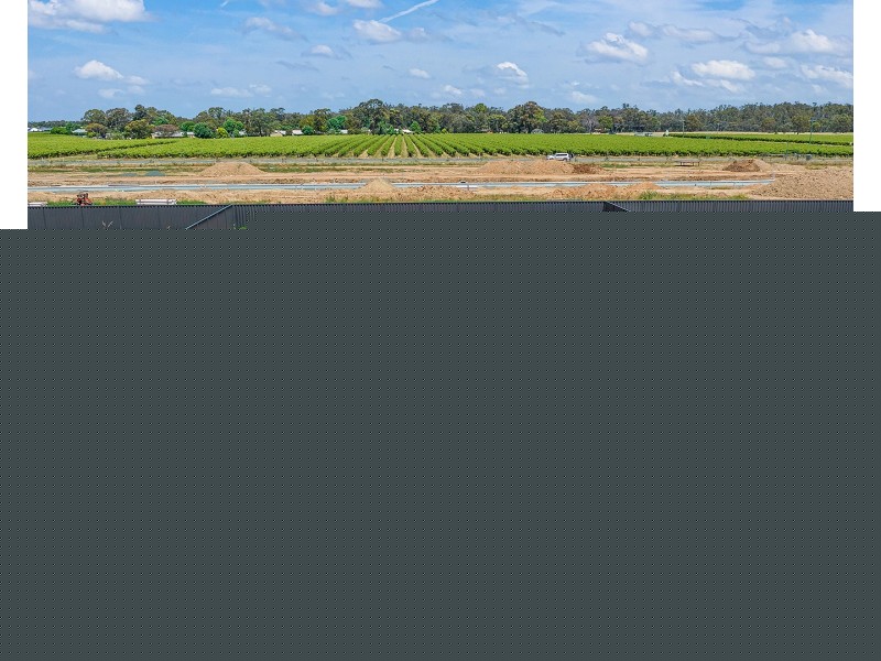 55 Currawong Circuit, Moama NSW 2731