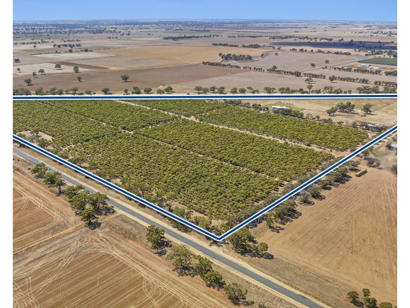 880 Thyra Road, Moama NSW 2731
