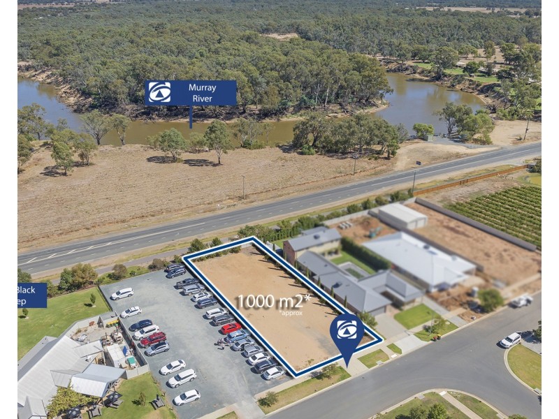 3 Cormorant Street, Moama NSW 2731