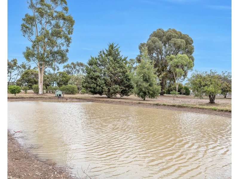 113 Pianta Road, Echuca VIC 3564