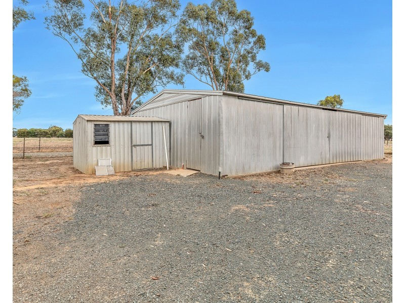 113 Pianta Road, Echuca VIC 3564