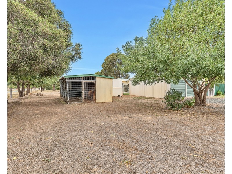 113 Pianta Road, Echuca VIC 3564