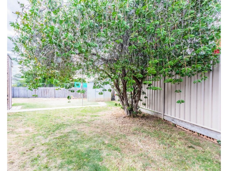3 Ash Court, Moama NSW 2731