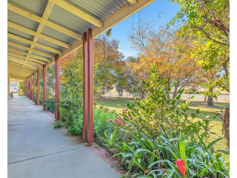 29 Victoria Street, Moama NSW 2731