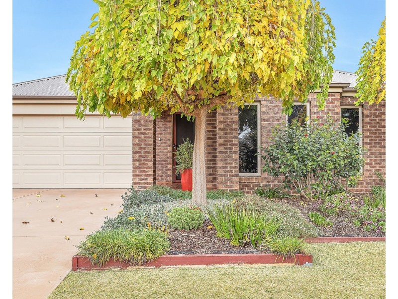12 Greytown Court, Moama NSW 2731
