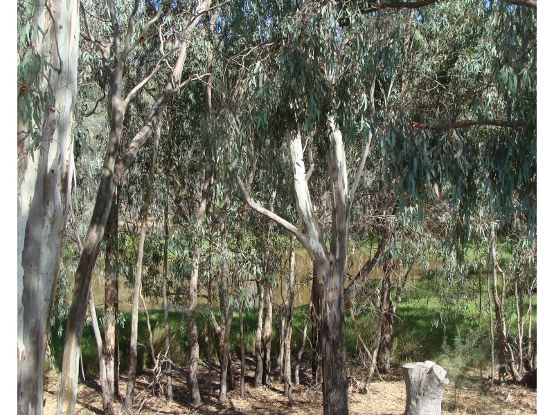 27 Bottlebrush Drive, Moama NSW 2731