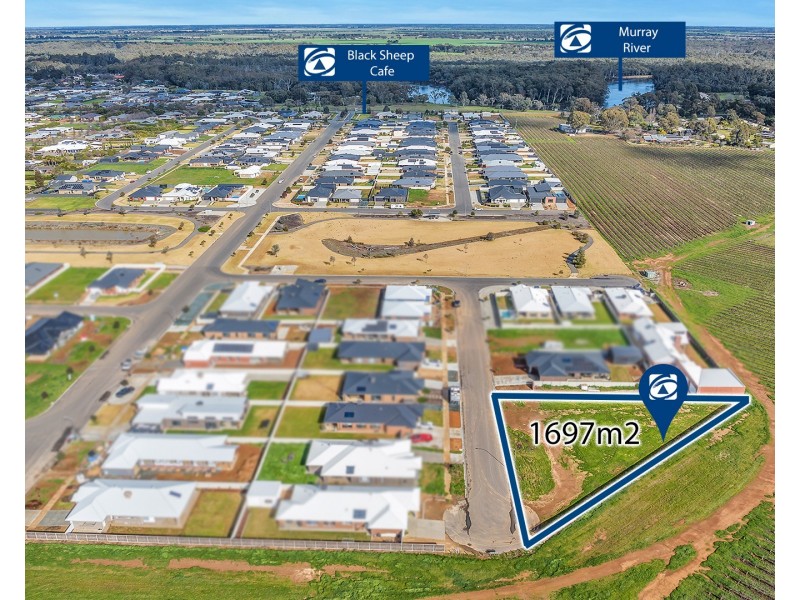 9 Spoonbill Street, Moama NSW 2731