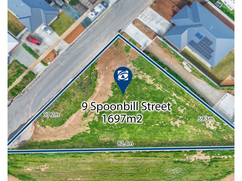 9 Spoonbill Street, Moama NSW 2731