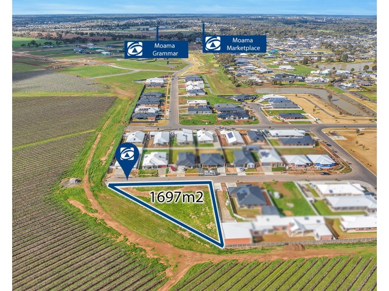 9 Spoonbill Street, Moama NSW 2731