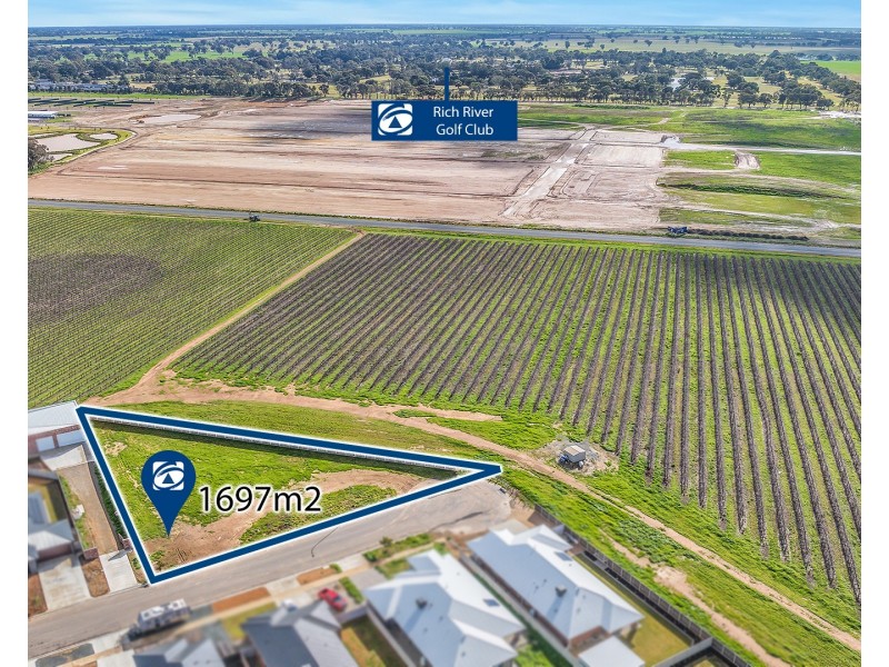 9 Spoonbill Street, Moama NSW 2731