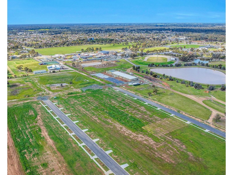 15 Bronzewing Street, Moama NSW 2731