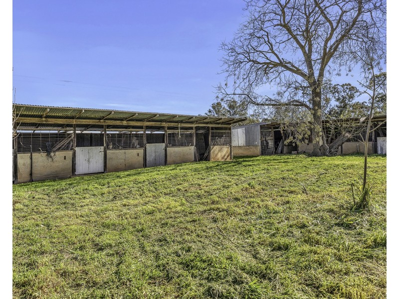 361 Odwyer Road, Wharparilla, Echuca VIC 3564