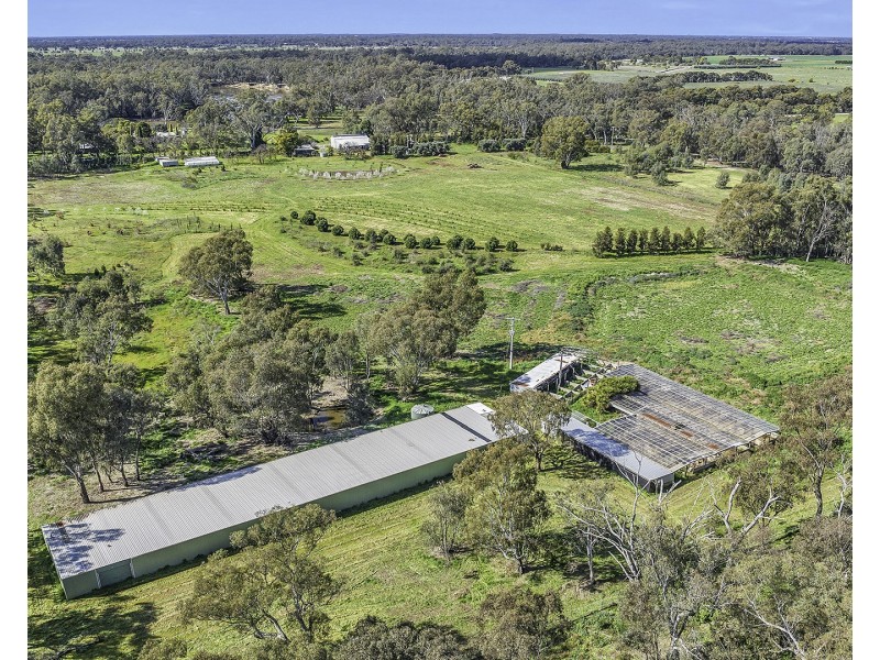 361 Odwyer Road, Wharparilla, Echuca VIC 3564