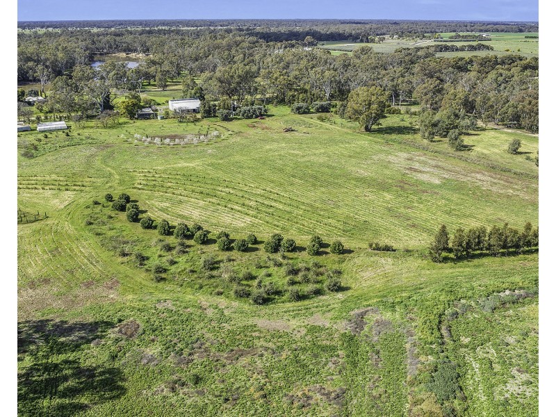 361 Odwyer Road, Wharparilla, Echuca VIC 3564